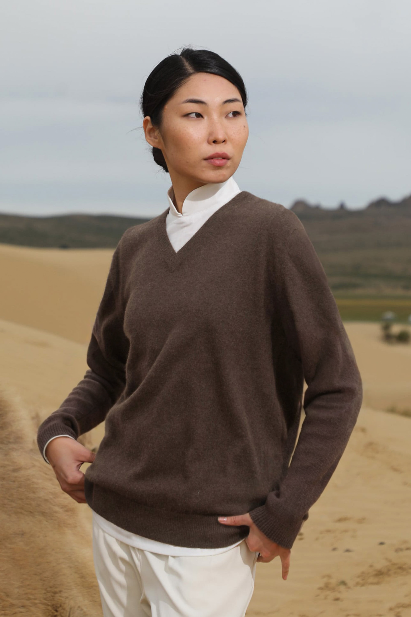 Fashionable Classic V-Neck Jumper